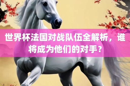 世界杯法国对战队伍全解析，谁将成为他们的对手？