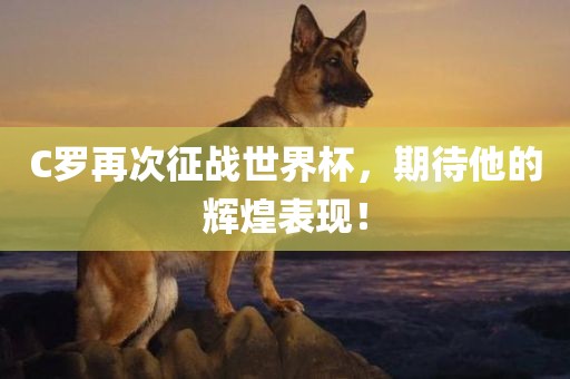 C罗再次征战世界杯，期待他的辉煌表现！