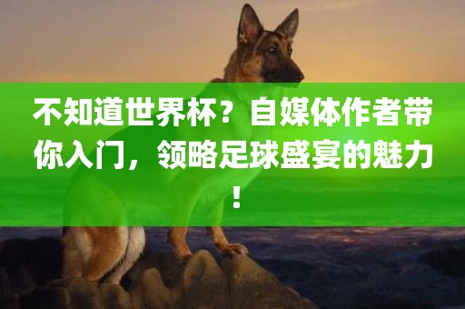 不知道世界杯？自媒体作者带你入门，领略足球盛宴的魅力！