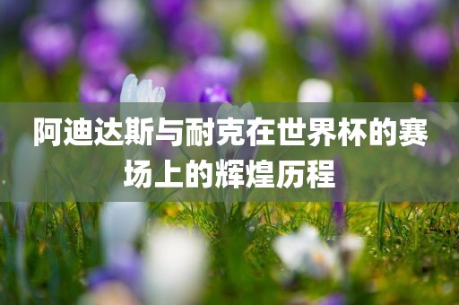 阿迪达斯与耐克在世界杯的赛场上的辉煌历程