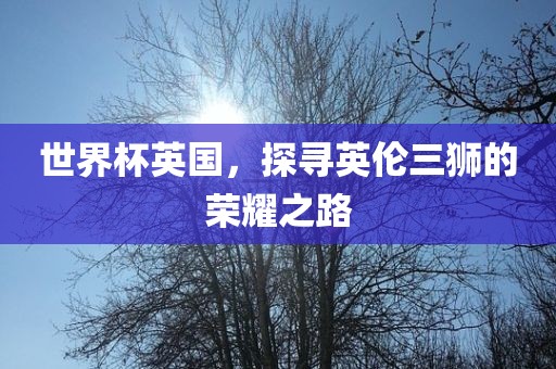 世界杯英国，探寻英伦三狮的荣耀之路