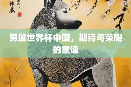 男篮世界杯中国，期待与荣耀的重逢