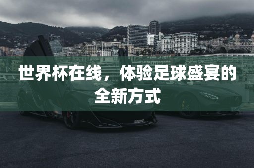 世界杯在线，体验足球盛宴的全新方式