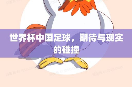 世界杯中国足球，期待与现实的碰撞