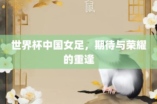 世界杯中国女足，期待与荣耀的重逢