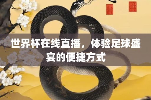 世界杯在线直播，体验足球盛宴的便捷方式