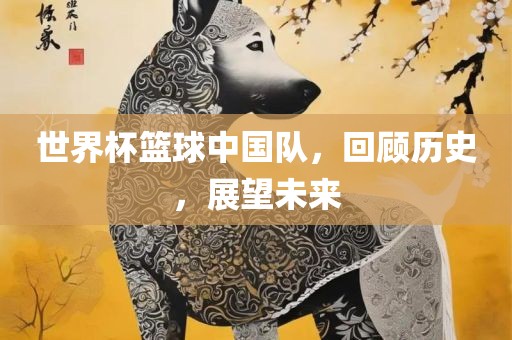 世界杯篮球中国队，回顾历史，展望未来