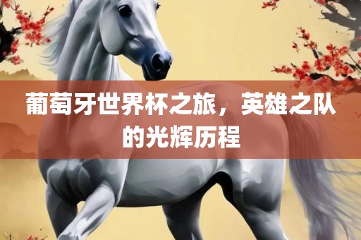葡萄牙世界杯之旅，英雄之队的光辉历程