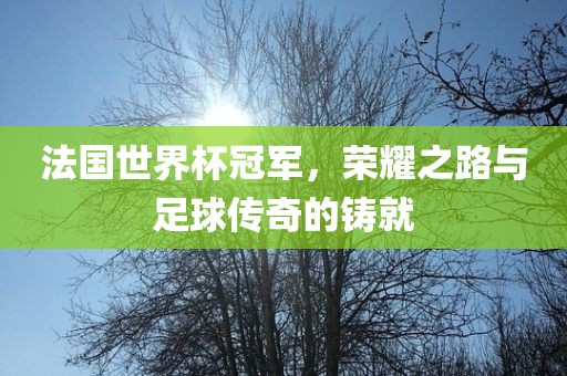 法国世界杯冠军，荣耀之路与足球传奇的铸就
