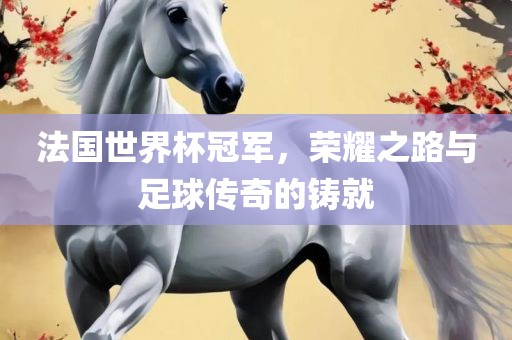 法国世界杯冠军，荣耀之路与足球传奇的铸就