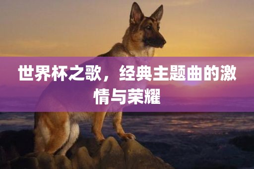 世界杯之歌，经典主题曲的激情与荣耀
