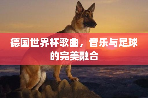 德国世界杯歌曲，音乐与足球的完美融合