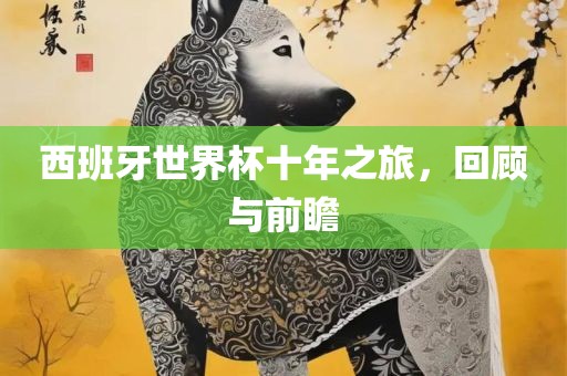 西班牙世界杯十年之旅，回顾与前瞻