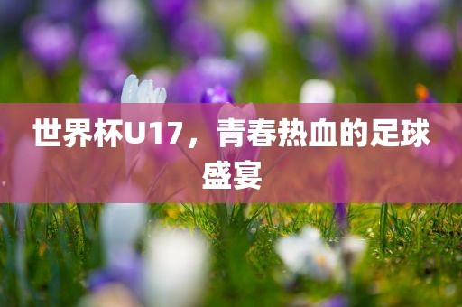 世界杯U17，青春热血的足球盛宴