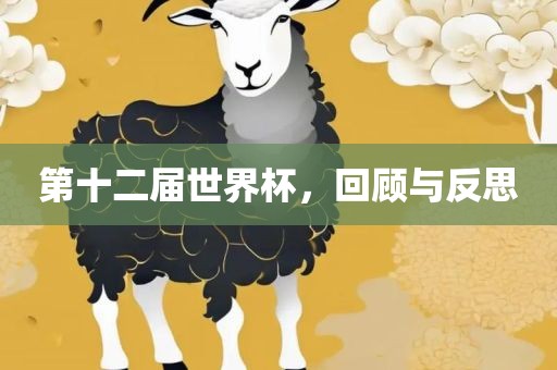 第十二届世界杯，回顾与反思