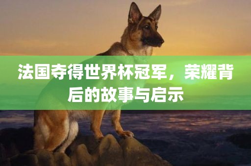 法国夺得世界杯冠军，荣耀背后的故事与启示