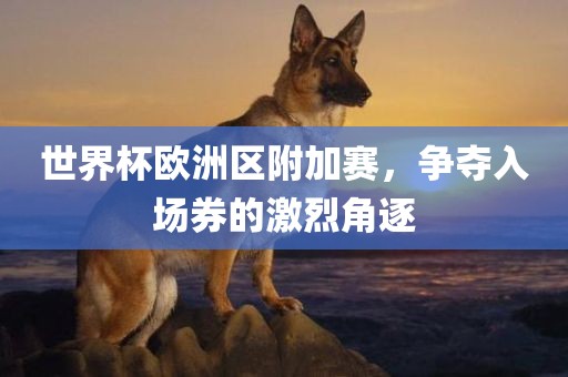 世界杯欧洲区附加赛，争夺入场券的激烈角逐