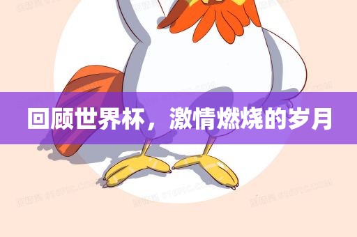 回顾世界杯，激情燃烧的岁月
