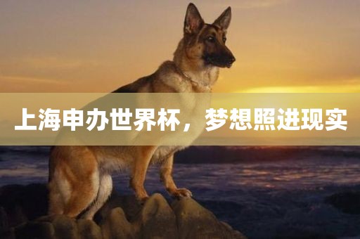 上海申办世界杯，梦想照进现实