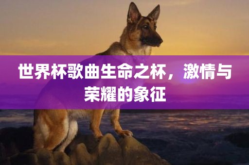 世界杯歌曲生命之杯，激情与荣耀的象征