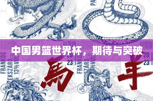 中国男篮世界杯，期待与突破