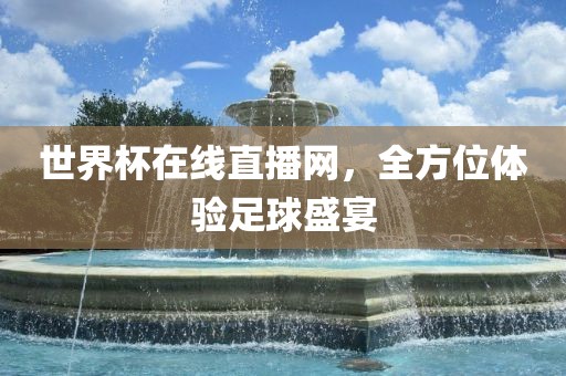 世界杯在线直播网，全方位体验足球盛宴