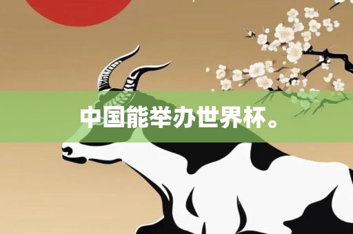 中国能举办世界杯。