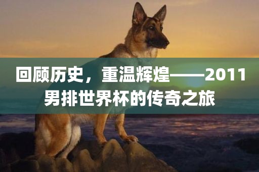 回顾历史，重温辉煌——2011男排世界杯的传奇之旅