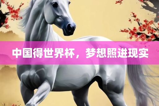 中国得世界杯，梦想照进现实