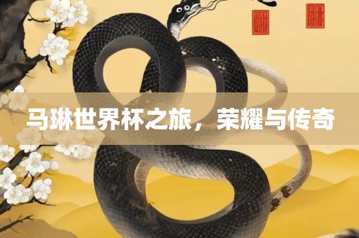 马琳世界杯之旅，荣耀与传奇
