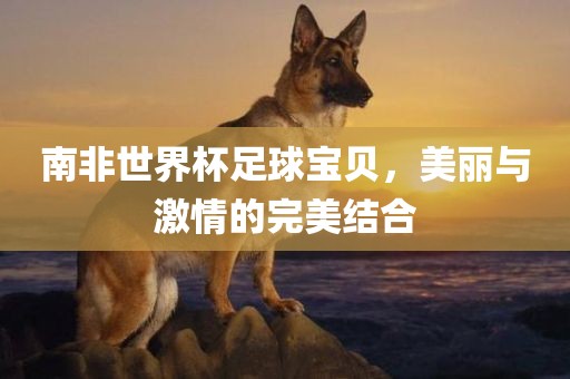 南非世界杯足球宝贝，美丽与激情的完美结合