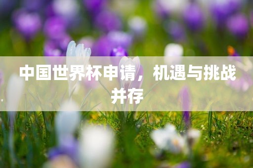 中国世界杯申请，机遇与挑战并存