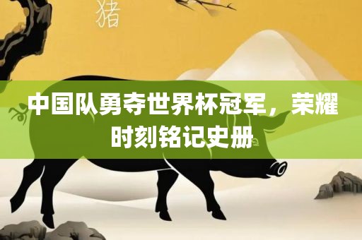 中国队勇夺世界杯冠军，荣耀时刻铭记史册
