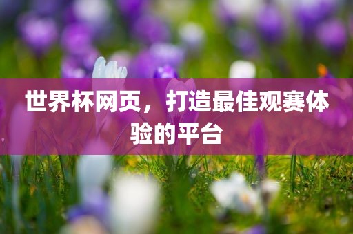 世界杯网页，打造最佳观赛体验的平台