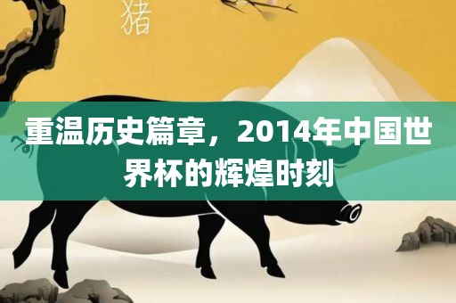 重温历史篇章，2014年中国世界杯的辉煌时刻