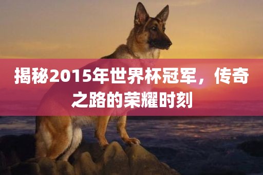 揭秘2015年世界杯冠军，传奇之路的荣耀时刻