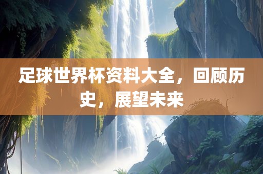 足球世界杯资料大全，回顾历史，展望未来
