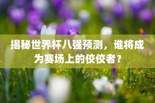 揭秘世界杯八强预测，谁将成为赛场上的佼佼者？