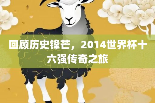 回顾历史锋芒，2014世界杯十六强传奇之旅