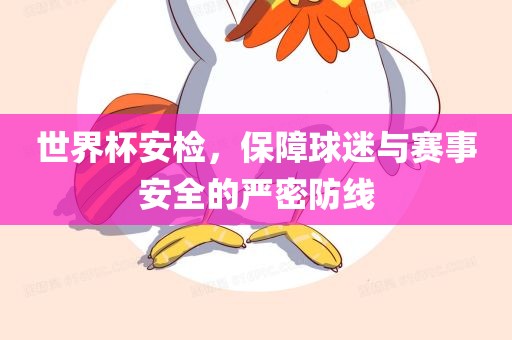 世界杯安检，保障球迷与赛事安全的严密防线