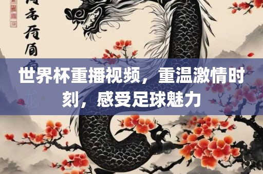 世界杯重播视频，重温激情时刻，感受足球魅力