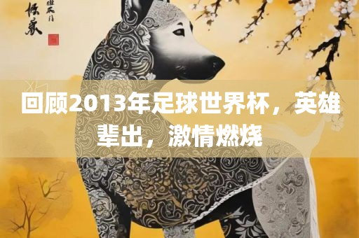 回顾2013年足球世界杯，英雄辈出，激情燃烧