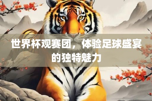 世界杯观赛团，体验足球盛宴的独特魅力