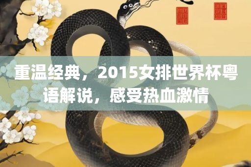 重温经典，2015女排世界杯粤语解说，感受热血激情