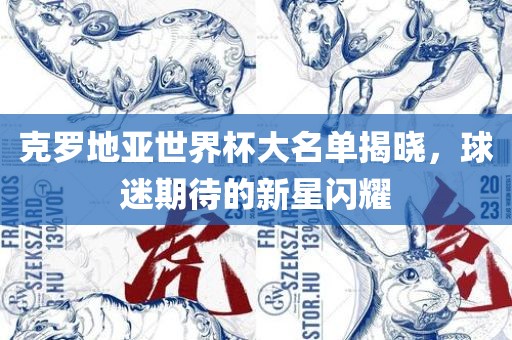 克罗地亚世界杯大名单揭晓，球迷期待的新星闪耀