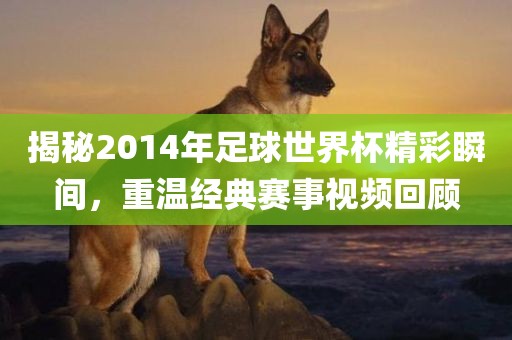 揭秘2014年足球世界杯精彩瞬间，重温经典赛事视频回顾