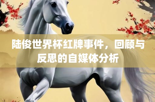 陆俊世界杯红牌事件，回顾与反思的自媒体分析