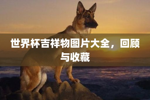 世界杯吉祥物图片大全，回顾与收藏