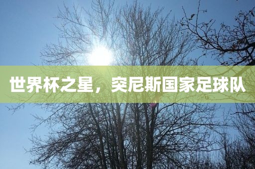 世界杯之星，突尼斯国家足球队