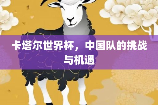 卡塔尔世界杯，中国队的挑战与机遇